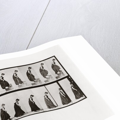 Woman climbing stairs and jumping down, Plate 173 from Animal Locomotion, 1887 by Anonymous