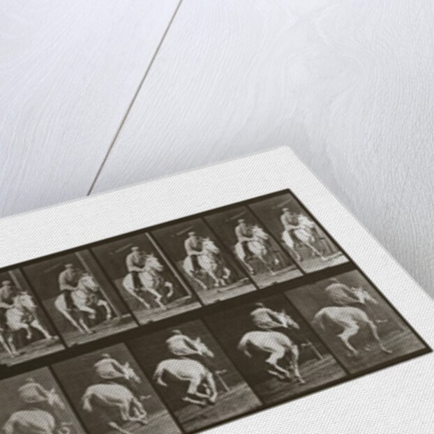 Galloping Horse with Rider, Plate 635 from Animal Locomotion, 1887 by Anonymous