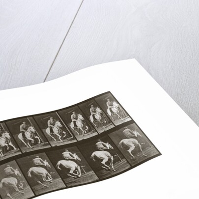 Galloping Horse with Rider, Plate 635 from Animal Locomotion, 1887 by Anonymous