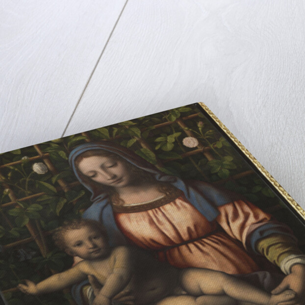 The Madonna of the Rose Garden (Madonna del Roseto) by Anonymous