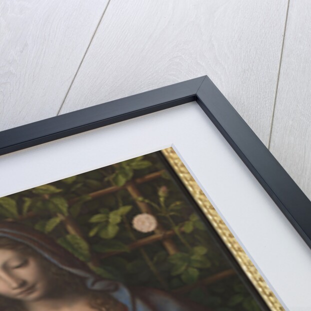 The Madonna of the Rose Garden (Madonna del Roseto) by Anonymous