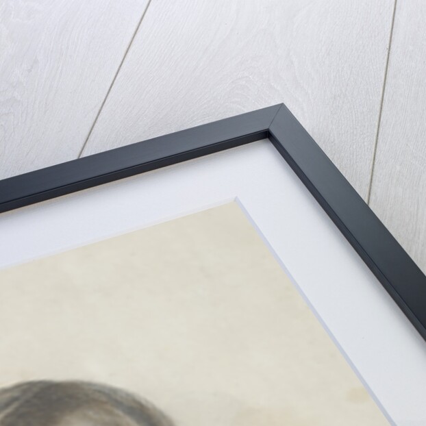 Portrait of Mikhail Konstantinovich Clodt Baron von Jürgensburg by Anonymous