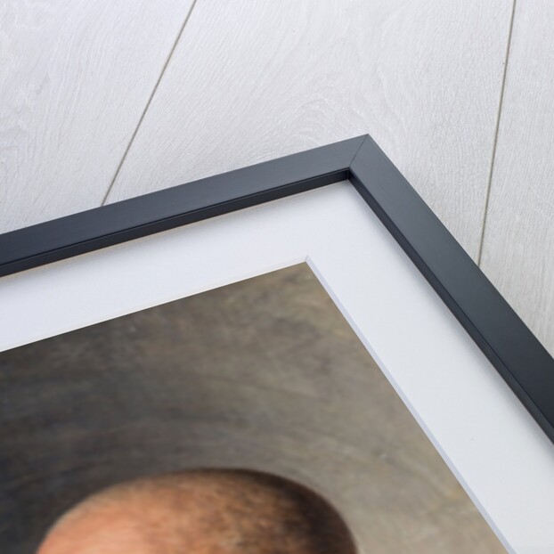 Portrait of the writer Aleksey Pavlovich Chapygin by Anonymous