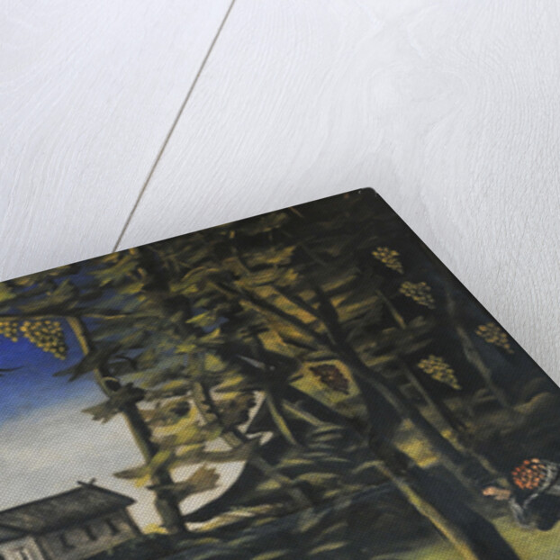 Marani in the Forest by Anonymous