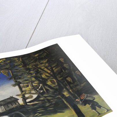 Marani in the Forest by Anonymous