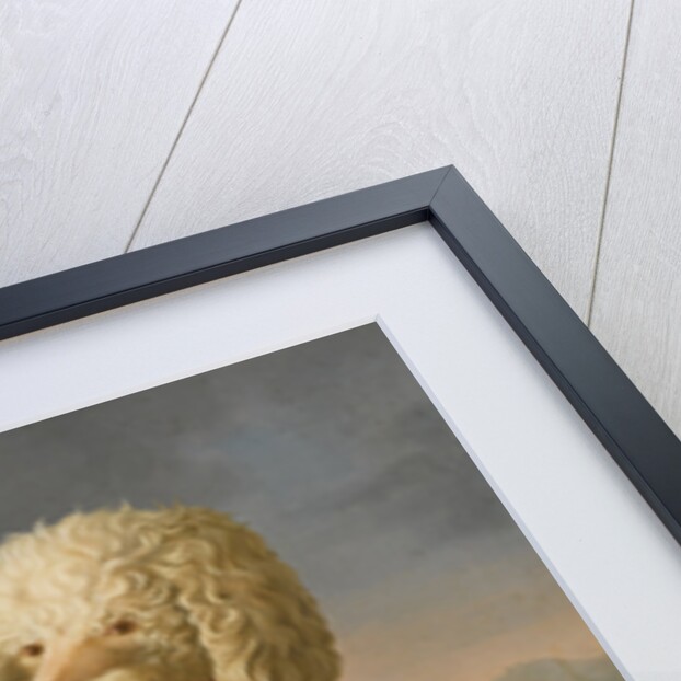 Portrait of Codina, believed to be lady Hamiltons poodle, the bay of Naples with a British man-of-w by Anonymous