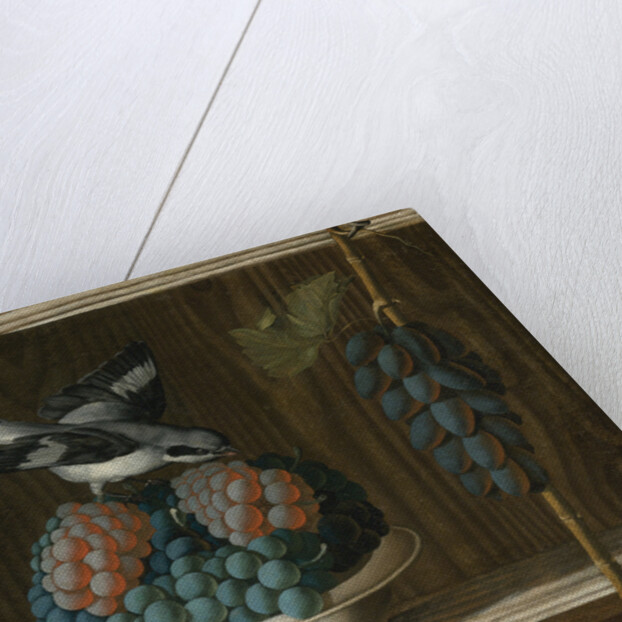 Still Life with Grapes and a gray shrike (Allegory of Painting) by Anonymous