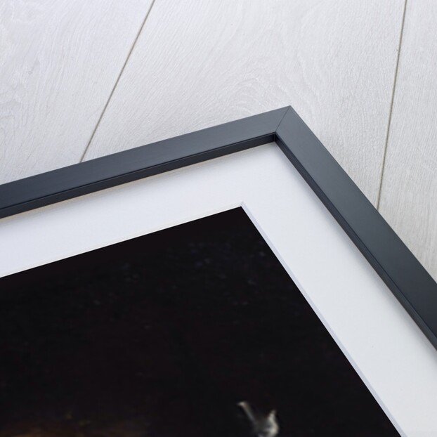 Saint Catherine of Alexandria by Anonymous