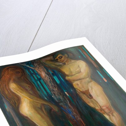 Metabolism by Anonymous