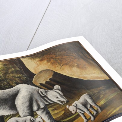 A she-bear with baby bears by Anonymous