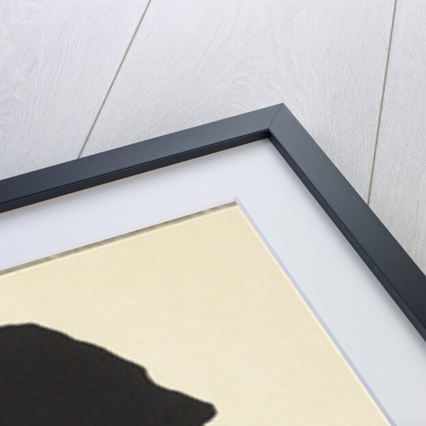 Portrait of Count Franz von Walsegg. Silhouette by Anonymous