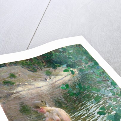 The cold stream by Anonymous