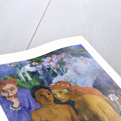 Contes Barbares (Barbarian Tales) by Anonymous