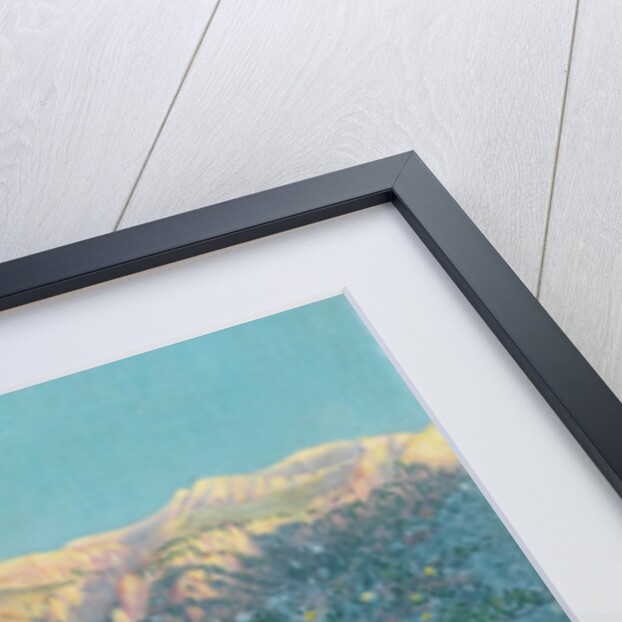 Lemon trees, Mallorca by Anonymous