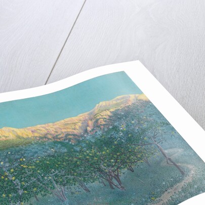 Lemon trees, Mallorca by Anonymous