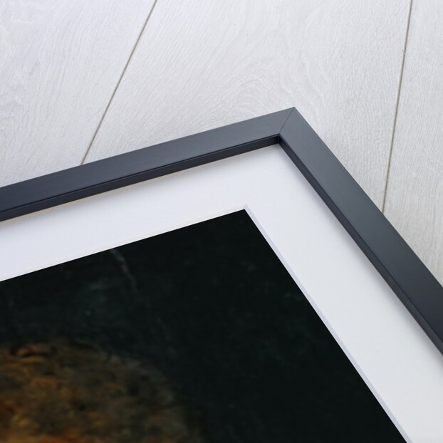 A philosopher from antiquity by Anonymous