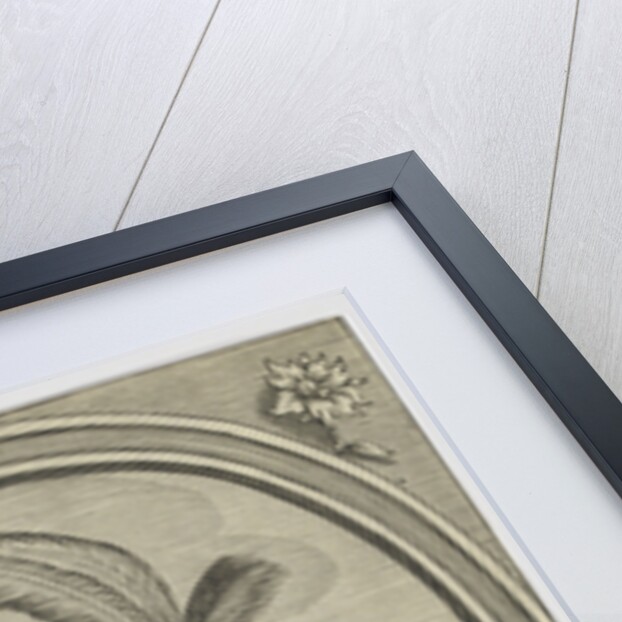 Grigore I Ghica, Prince of Wallachia by Anonymous