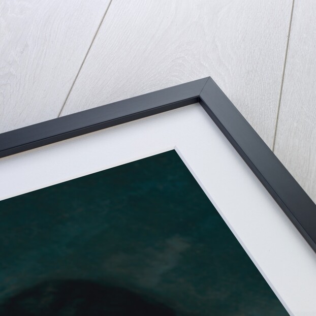 Lovers in the Countryside (Les Amants dans la campagne) by Anonymous