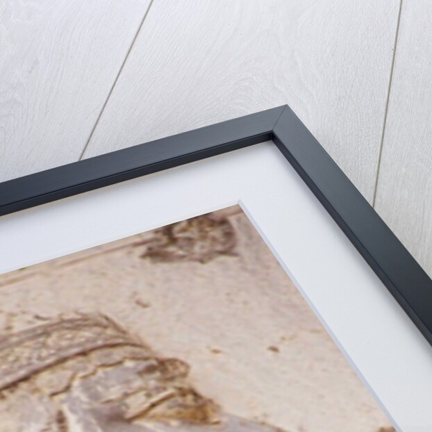 Bas-relief of King Darius I (Detail) by Anonymous