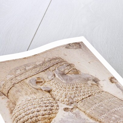 Bas-relief of King Darius I (Detail) by Anonymous