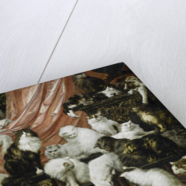 My Wifes Lovers by Anonymous