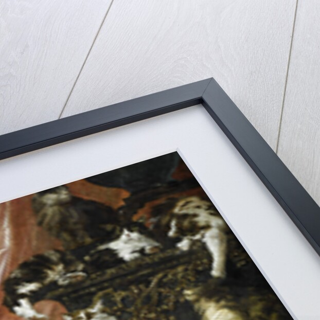 My Wifes Lovers by Anonymous