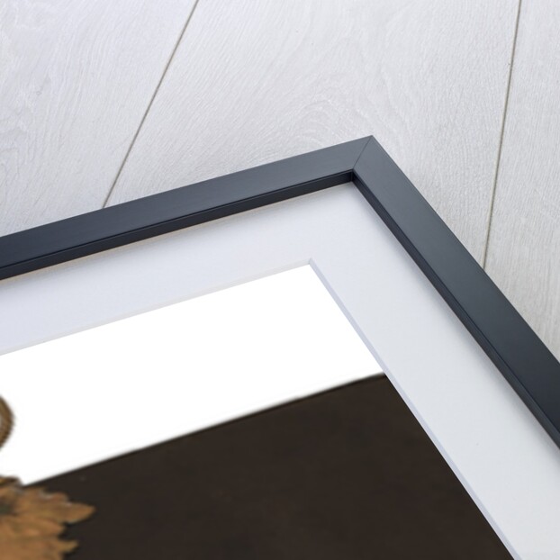 Portrait of Nadezhda Osipovna Pushkina, née Hannibal by Anonymous