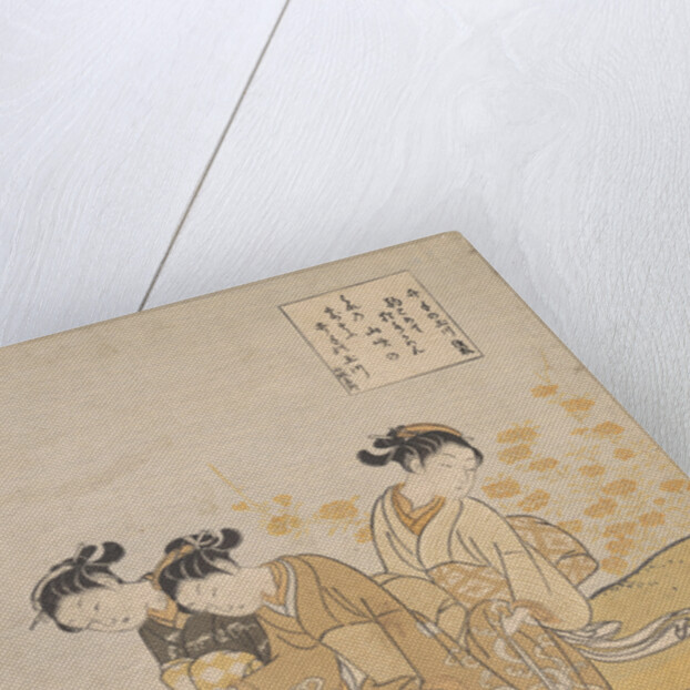 The Tama River at Ide, Yamashiro Province by Anonymous