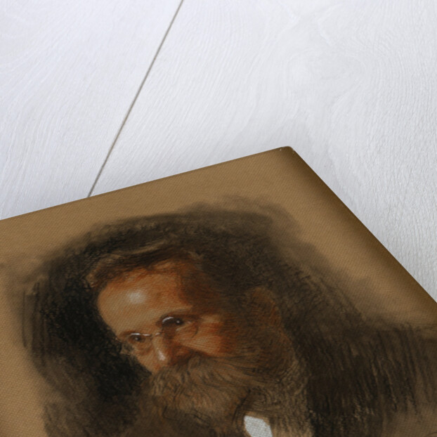Portrait of Nikolai Alexandrovich Morozov by Anonymous