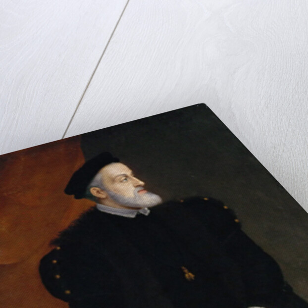 Portrait of the Emperor Charles V by Anonymous