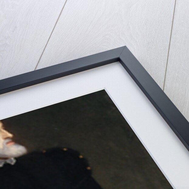 Portrait of the Emperor Charles V by Anonymous