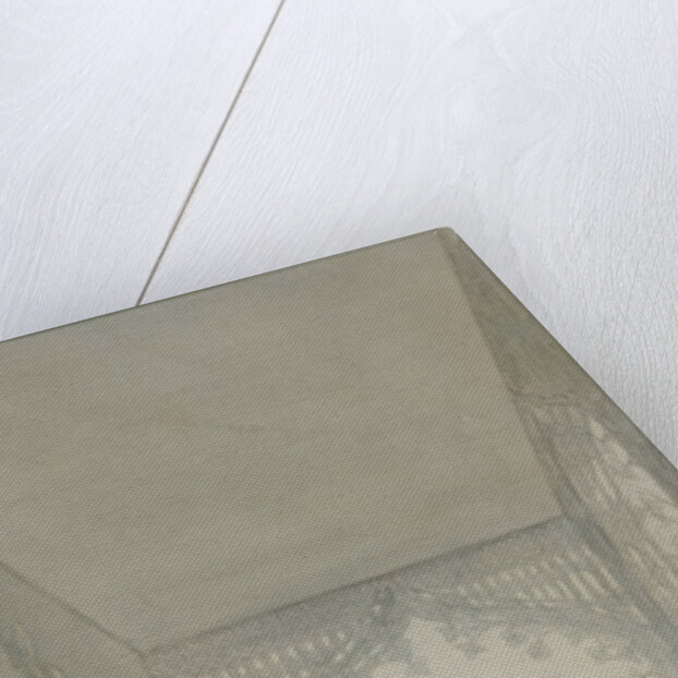 Cottege Palace in the Alexandria Park in Peterhof. Balcony in the study of Empress by Anonymous