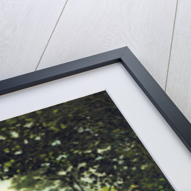 Adolphe Monet in the Garden of Le Coteau at Sainte-Adresse, 1867 by Anonymous