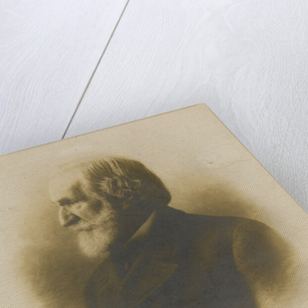 Portrait of the Composer Giuseppe Verdi, 1900 by Anonymous