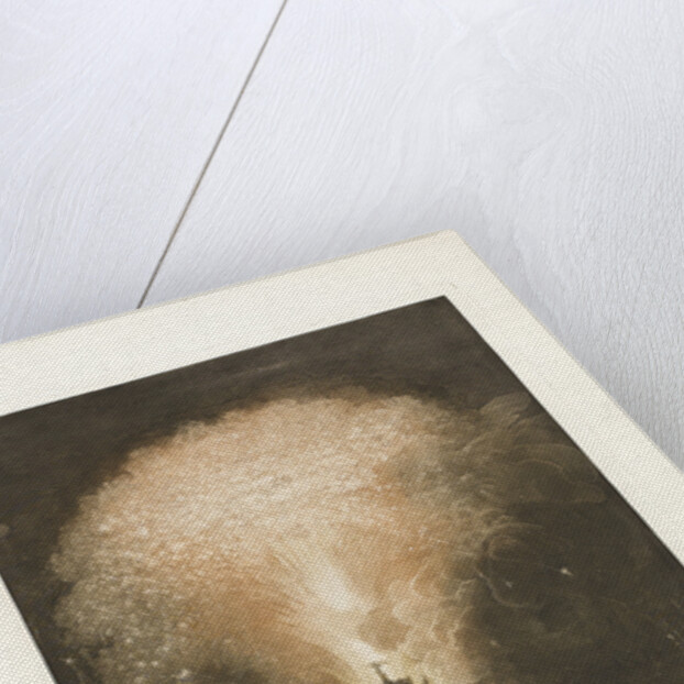 Fuoco Artificiale detto la Girandola (The Fireworks above Castel SantAngelo), ca. 1783 by Anonymous