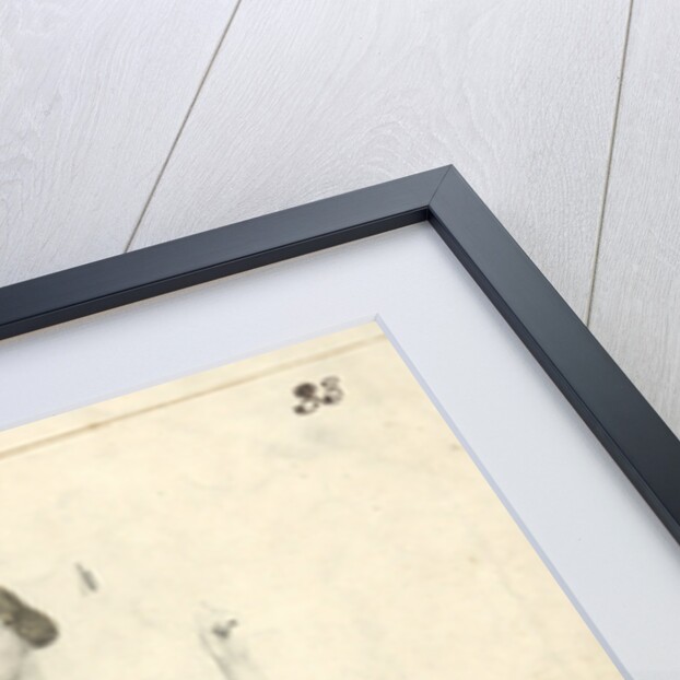 Portrait of the Soprano Jenny Lind, 1840-1842 by Anonymous