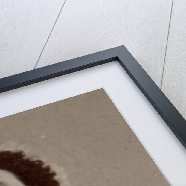 Rosina Penco as Leonora in Opera Il trovatore by Giuseppe Verdi, Teatro Apollo, Rome, 19 by Anonymous