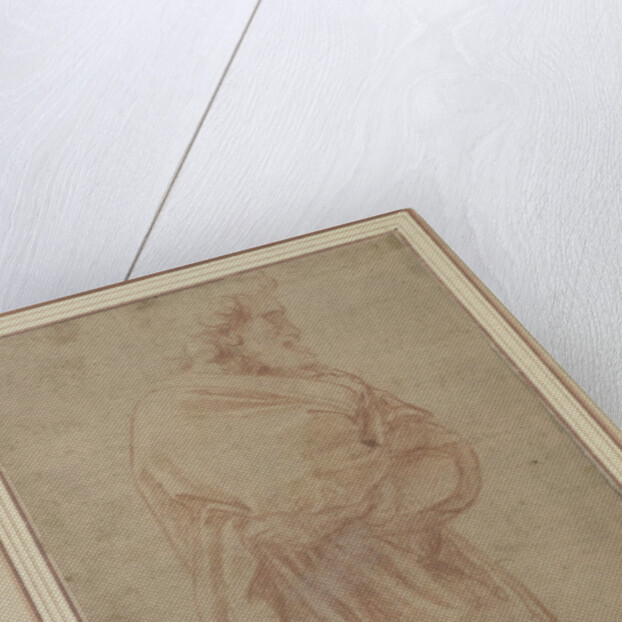 Saint Joseph (Study for the Madonna del Divino Amore), ca 1515 by Anonymous