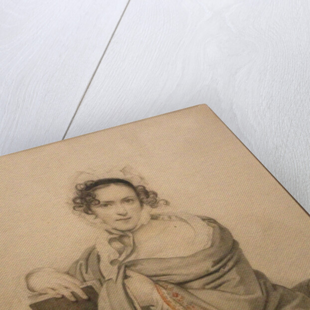 Portrait of Sophia Stepanovna Shcherbatova, née Apraxina, 1819 by Anonymous
