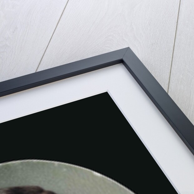 Grand Duke Alexander Mikhailovich of Russia, c. 1900 by Anonymous