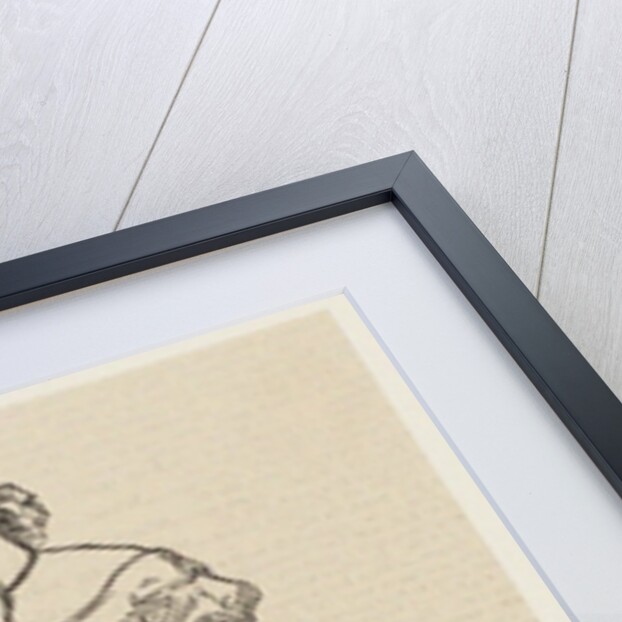 Portrait of the operatic soprano Erminia Frezzolini, Mid of the 19th cen by Anonymous