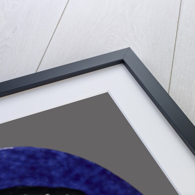 Portrait of future Francis II, King of France, ca 1553 by Anonymous