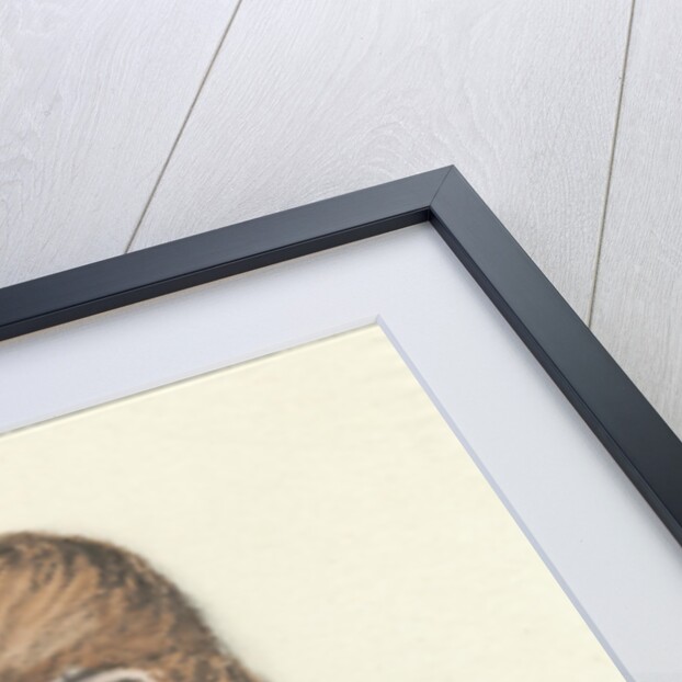 Black Cat, 1921 by Anonymous