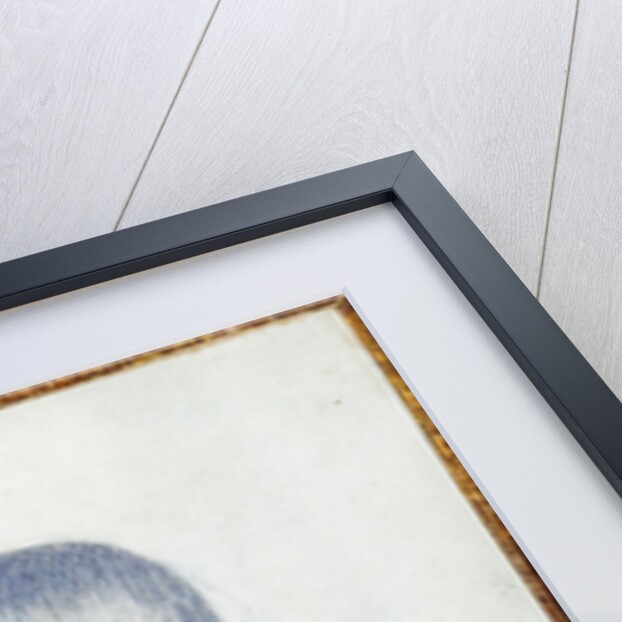 Portrait of Grigori Alexandrovich Pushkin, Son of the Poet, 1844 by Anonymous