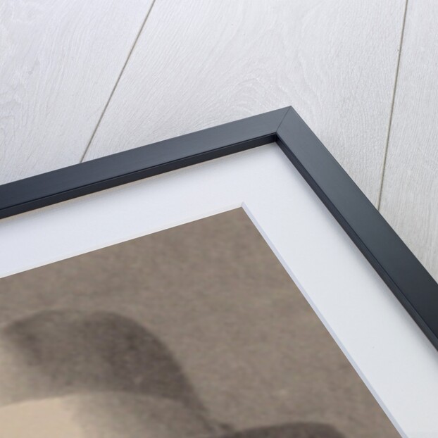 Portrait of Prince Alexei Yevgenyevich Lvov by Anonymous