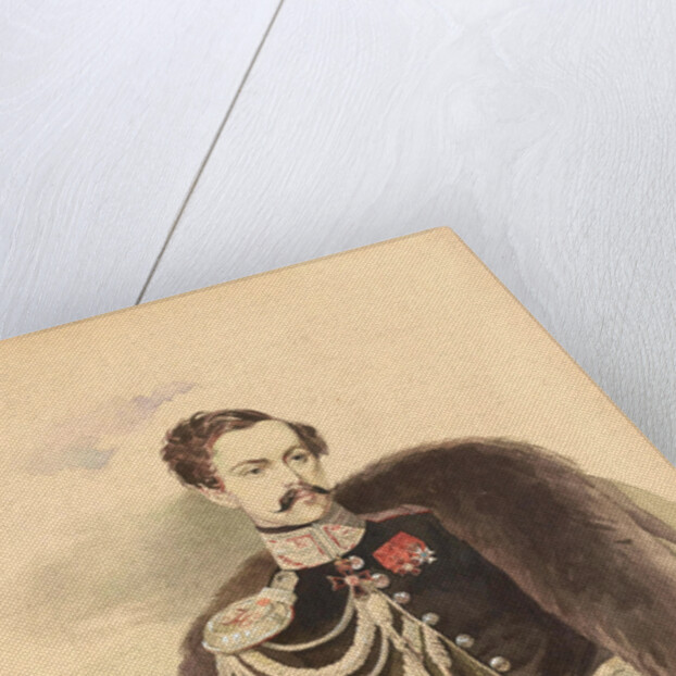 Portrait of Count Nikolay Vladimirovich Adlerberg by Anonymous