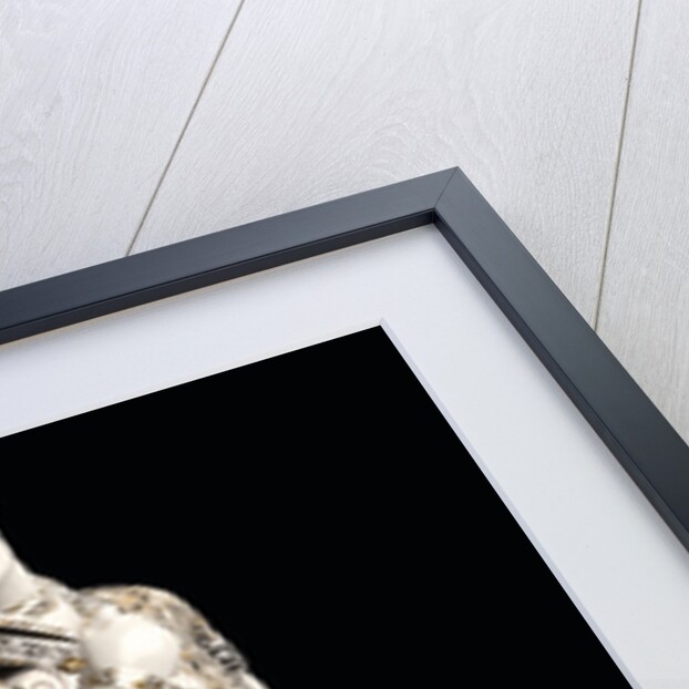 Michel Fokine in the Ballet The Firebird (LOiseau de feu) by I. Stravinsky, 1920 by Anonymous