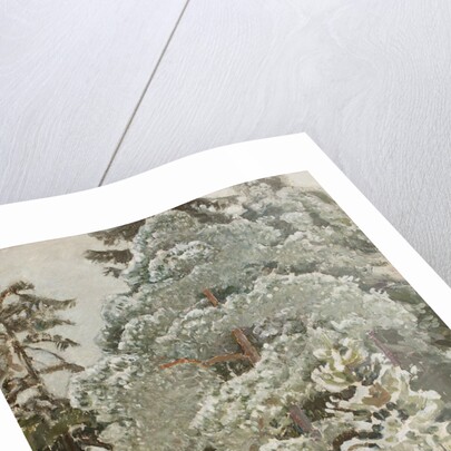 Winter landscape, 1915 by Anonymous