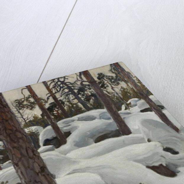 The Lair of the Lynx, 1908 by Anonymous