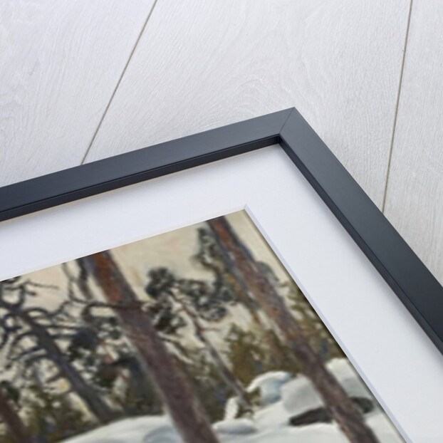 The Lair of the Lynx, 1908 by Anonymous